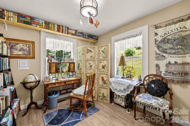 54 Thad Johnson Road, Saluda, NC 28773