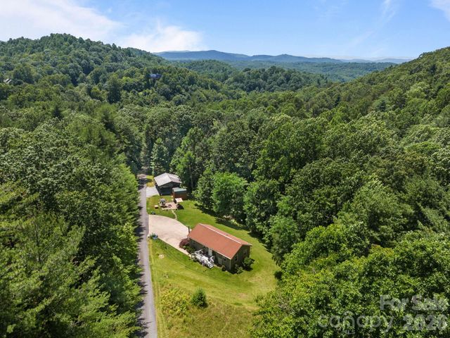 54 Thad Johnson Road, Saluda, NC 28773