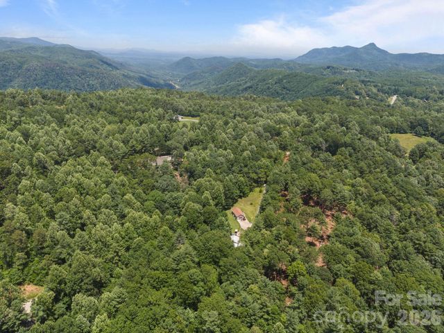 54 Thad Johnson Road, Saluda, NC 28773