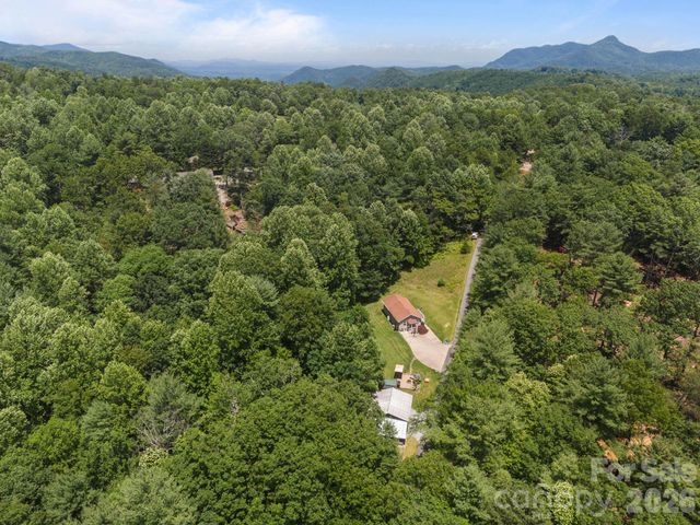 54 Thad Johnson Road, Saluda, NC 28773