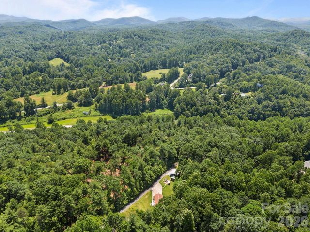 54 Thad Johnson Road, Saluda, NC 28773