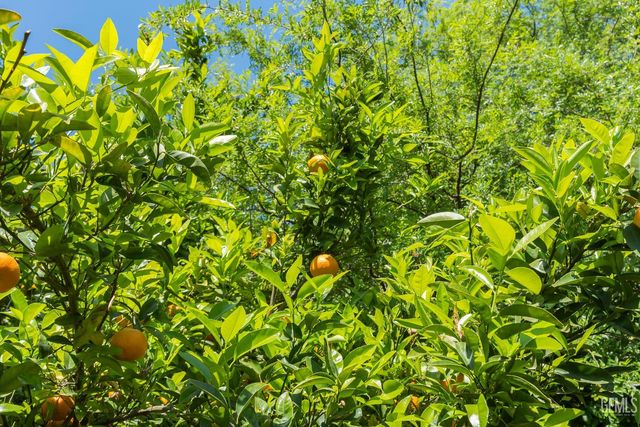 2812 Chiselhurst Court, Bakersfield, CA 93311