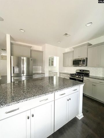 1213 Portrait Hill Drive, Chapin, SC 29036