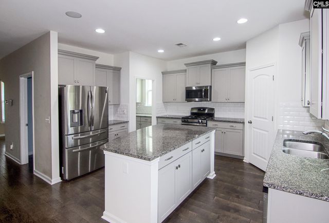 1213 Portrait Hill Drive, Chapin, SC 29036