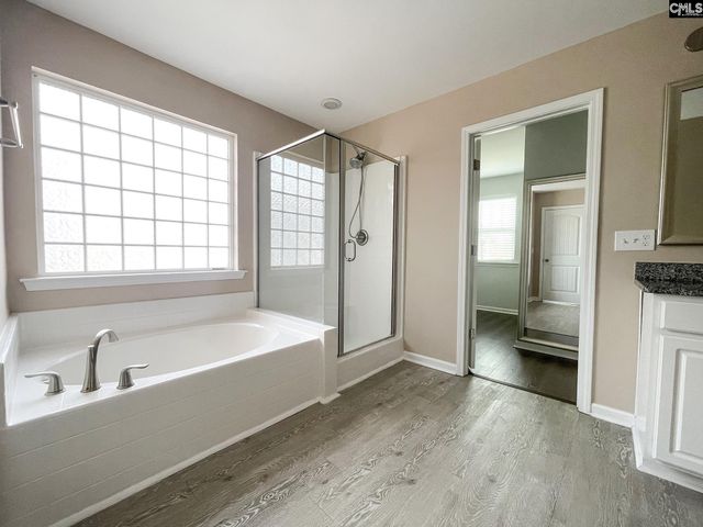 1213 Portrait Hill Drive, Chapin, SC 29036