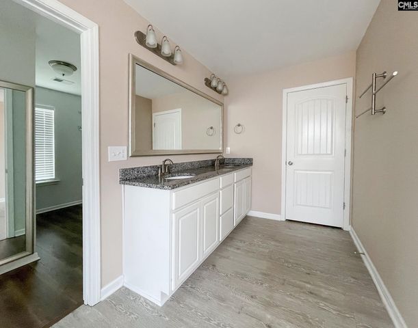 1213 Portrait Hill Drive, Chapin, SC 29036