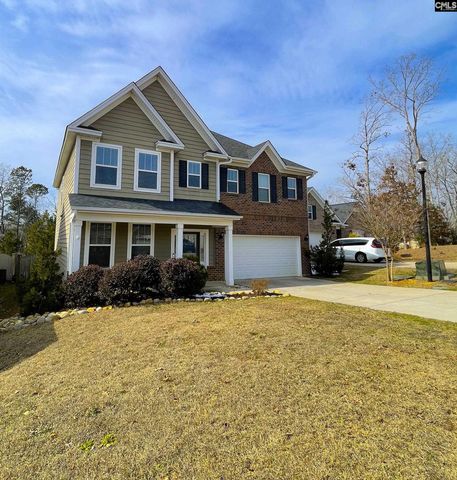 1213 Portrait Hill Drive, Chapin, SC 29036