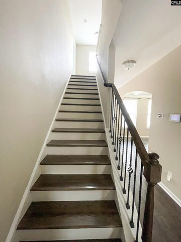 1213 Portrait Hill Drive, Chapin, SC 29036