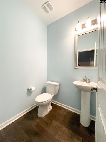 1213 Portrait Hill Drive, Chapin, SC 29036