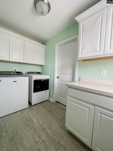 1213 Portrait Hill Drive, Chapin, SC 29036