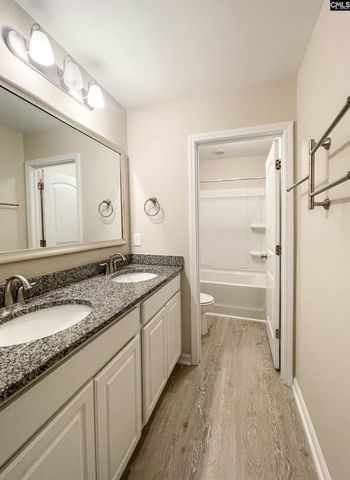 1213 Portrait Hill Drive, Chapin, SC 29036