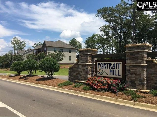 1213 Portrait Hill Drive, Chapin, SC 29036