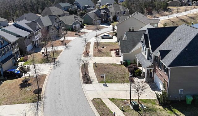 1213 Portrait Hill Drive, Chapin, SC 29036