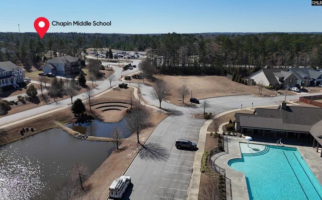 1213 Portrait Hill Drive, Chapin, SC 29036