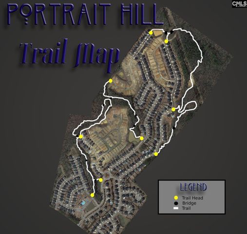 1213 Portrait Hill Drive, Chapin, SC 29036