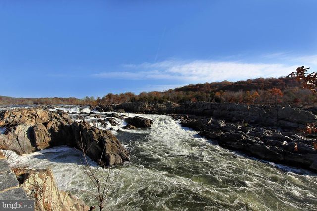 10225 FOREST LAKE DR, Great Falls, VA 22066