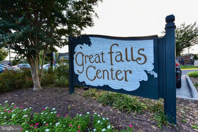 10225 FOREST LAKE DR, Great Falls, VA 22066