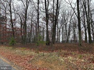 DOMAN RIDGE RD, Romney, WV 26757