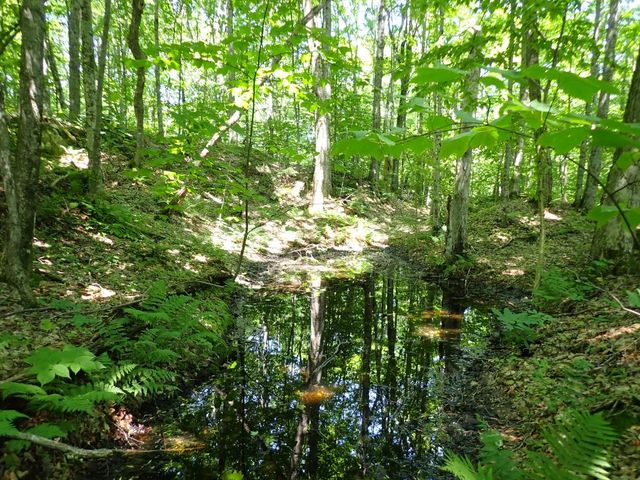 00 Plunkton Road, Warren, VT 05674