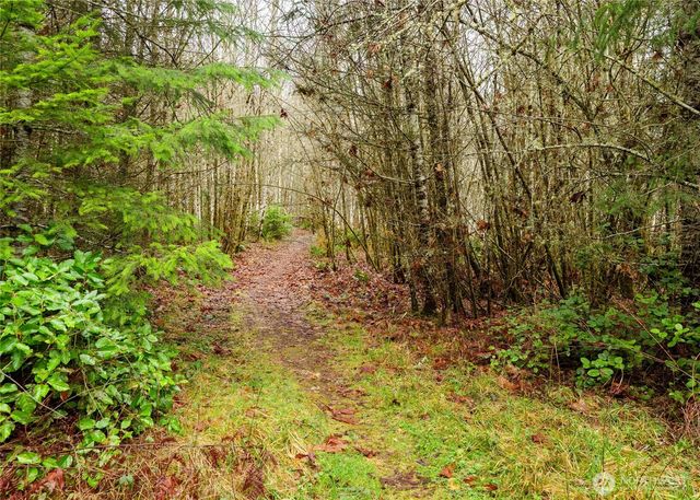 0 NKA Scribner Road, Port Angeles, WA 98362