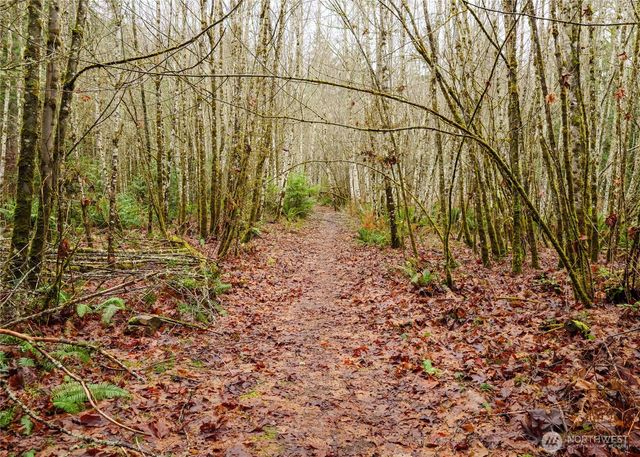 0 NKA Scribner Road, Port Angeles, WA 98362