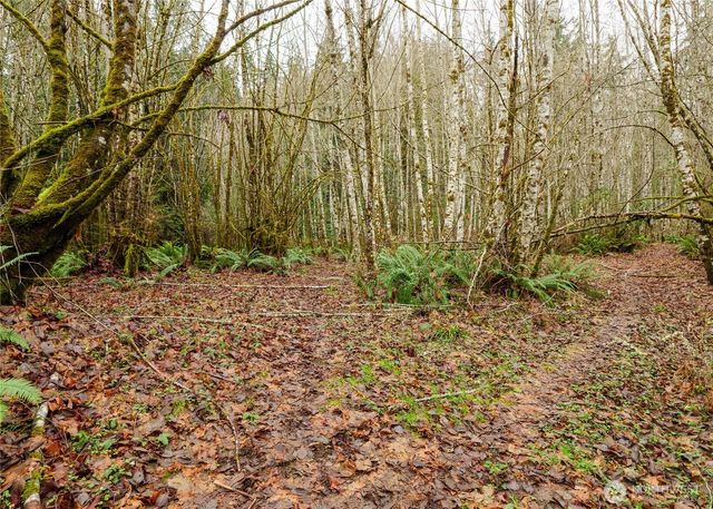 0 NKA Scribner Road, Port Angeles, WA 98362