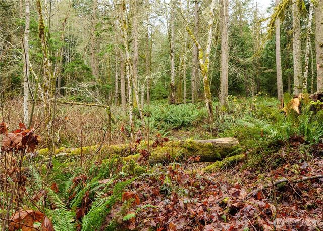 0 NKA Scribner Road, Port Angeles, WA 98362