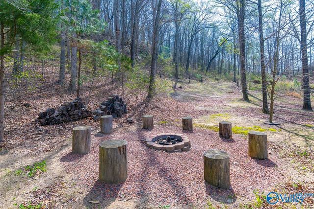 1642 Lake Cove Drive, Decatur, AL 35603