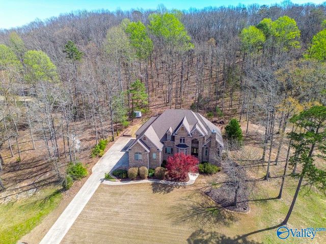 1642 Lake Cove Drive, Decatur, AL 35603