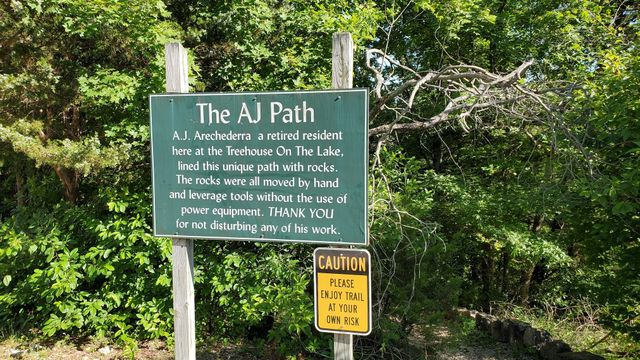 6 Treehouse Lane 1, Branson, MO 65616