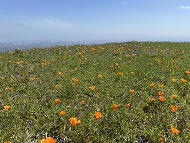 17599 Montebello Road, Cupertino, CA 95014