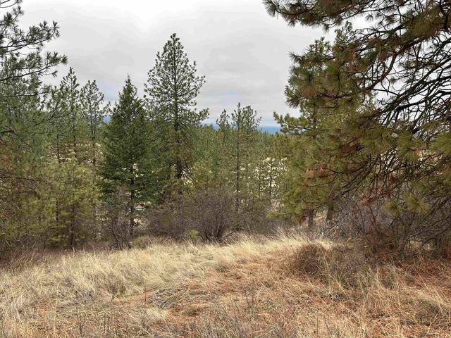 3312X Daisy Mine Rd, Rice, WA 99167