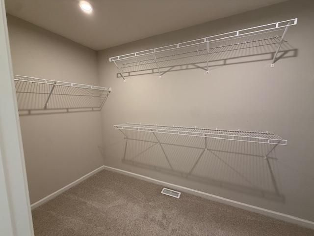 4702 Cranesbill Road, Minnetrista, MN 55331