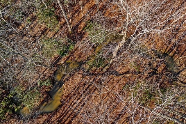 0 Overlook Rd, E, Monterey, TN 38574