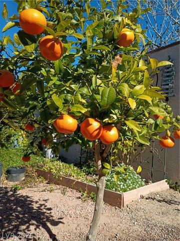 3290 Squire Street, Las Vegas, NV 89135