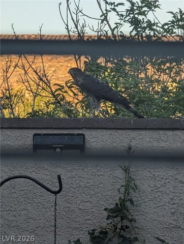 3290 Squire Street, Las Vegas, NV 89135