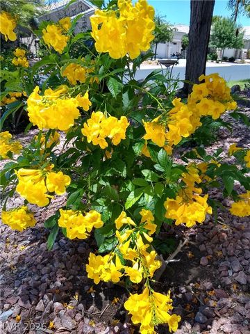 3290 Squire Street, Las Vegas, NV 89135