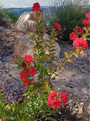 3290 Squire Street, Las Vegas, NV 89135