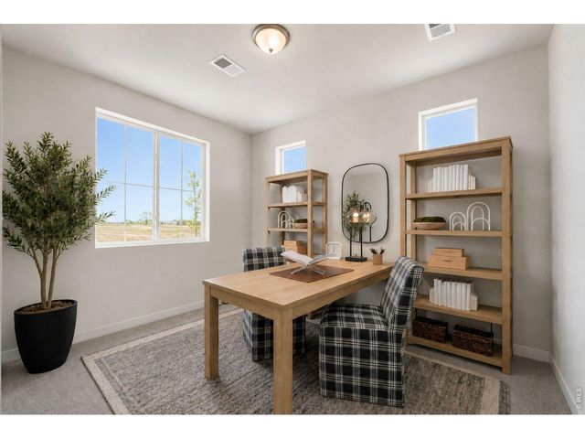 7331 Swan River St, Frederick, CO 80530