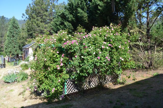 5460 HWY 238, Jacksonville, OR 97530