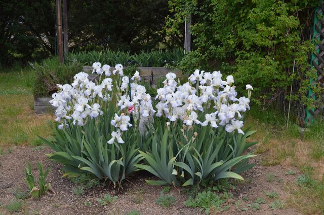 5460 HWY 238, Jacksonville, OR 97530