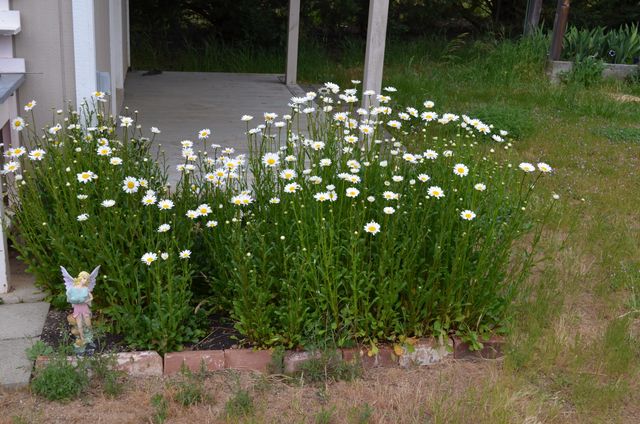 5460 HWY 238, Jacksonville, OR 97530