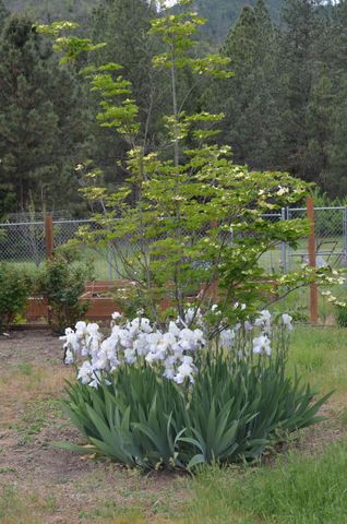 5460 HWY 238, Jacksonville, OR 97530