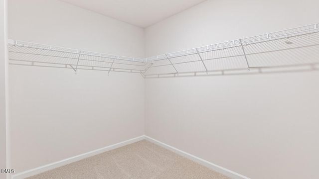 133 Saddle Mare Street, Clayton, NC 27520