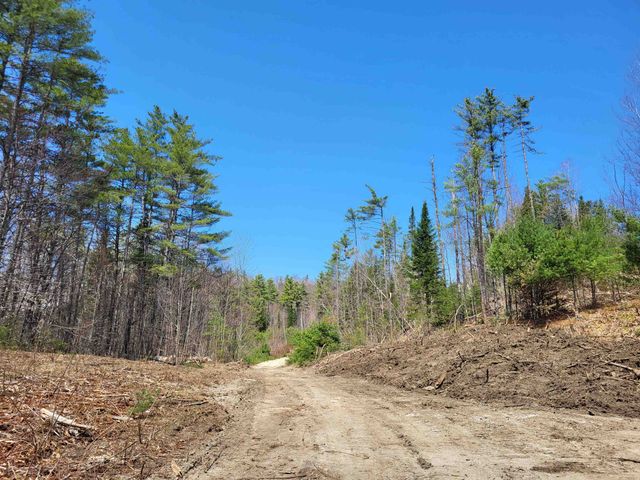 Map 406 Lot 169 US Route 4, Danbury, NH 03230