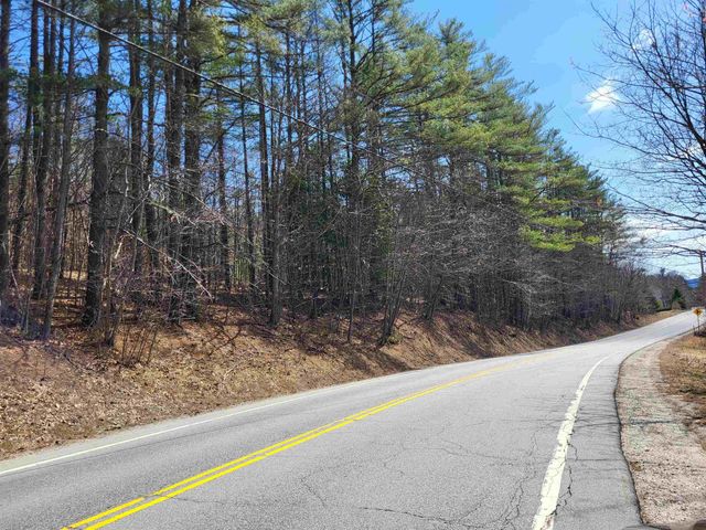 Map 406 Lot 169 US Route 4, Danbury, NH 03230