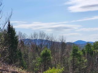 Map 406 Lot 169 US Route 4, Danbury, NH 03230