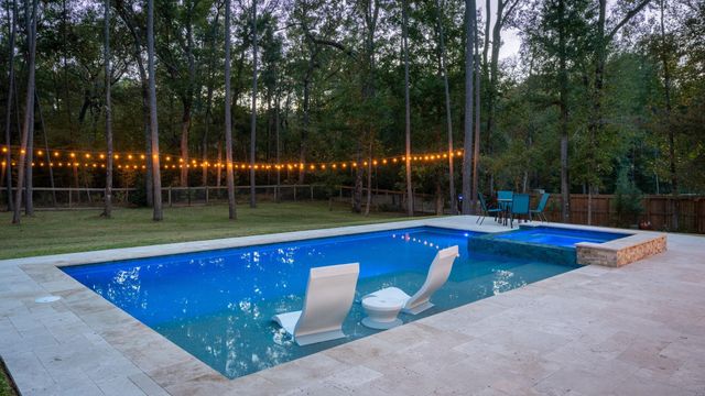 11041 Shadow View Drive, Conroe, TX 77304