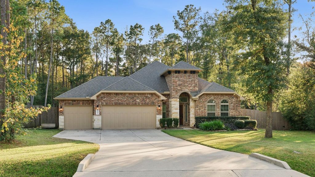 11041 Shadow View Drive, Conroe, TX 77304