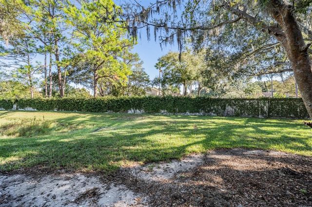 16553 BRIGADOON DRIVE, Tampa, FL 33618